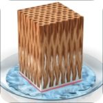 Fenster-Holz-Mit-Versiegelung