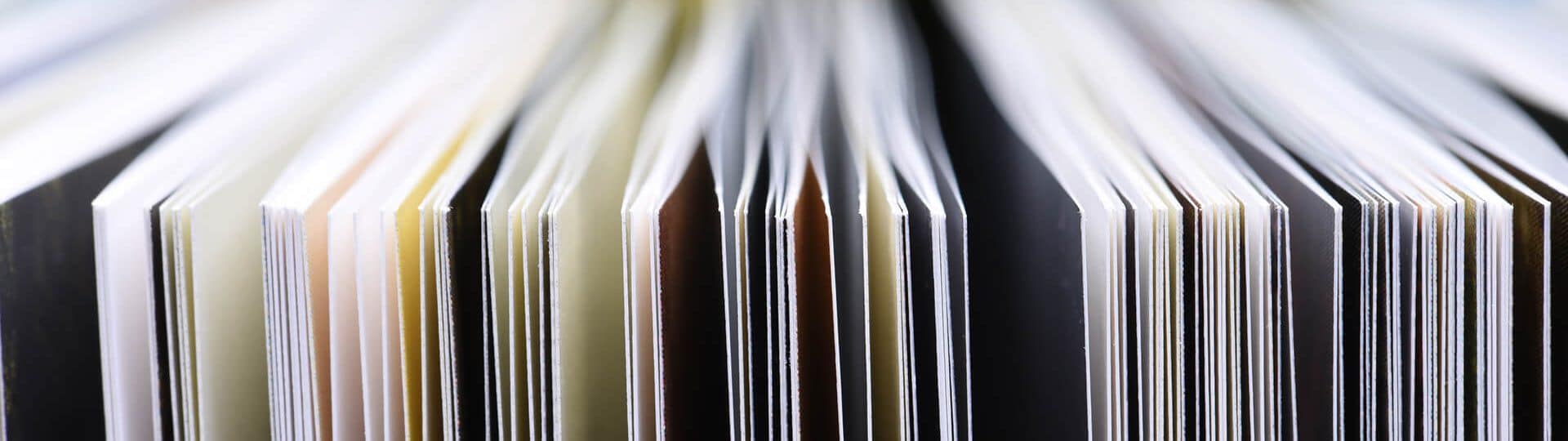 Aktuelles Headerbild